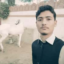 Bilal