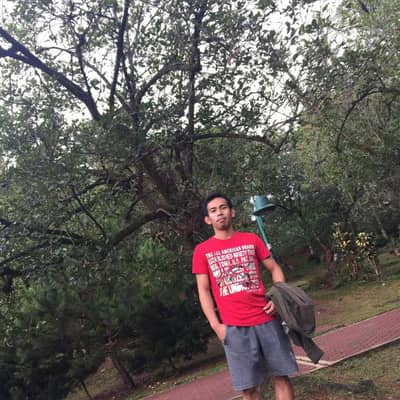 Allan