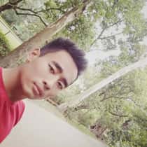 angelus