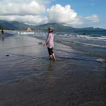 Jocy