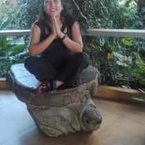 Flor