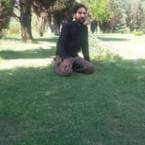 Bashir
