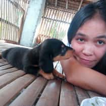 lanie