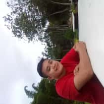 Levin