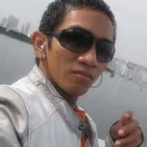 david