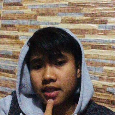 Davidsizzler