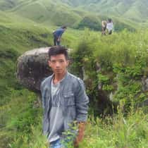 Chams