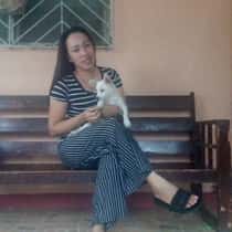 Tisay