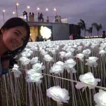 Jenalyn Juera