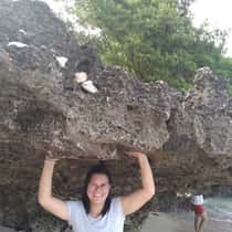 vlyn