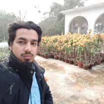 Mehmood Hassan