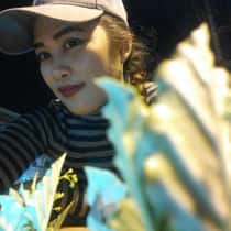 bebs amarado