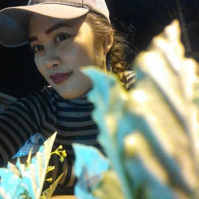 bebs amarado