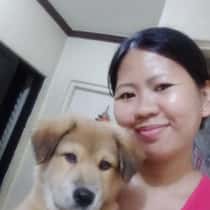 dolly