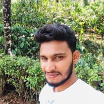 pavan