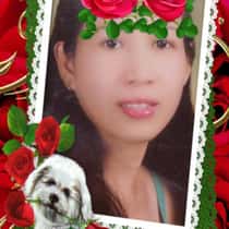 Bhelnice
