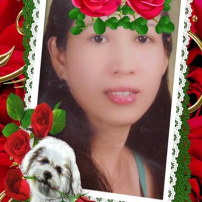 Bhelnice