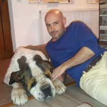 calin