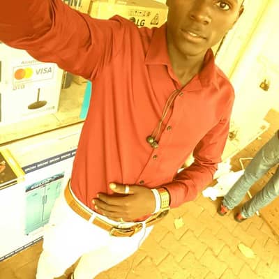 Livo