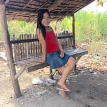 Arriens birggita cheveron