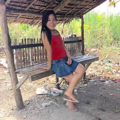 Arriens birggita cheveron