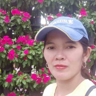 Analyn