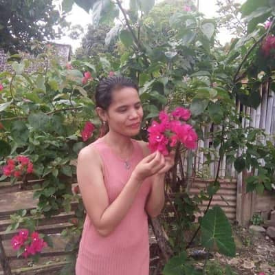 Mayrin