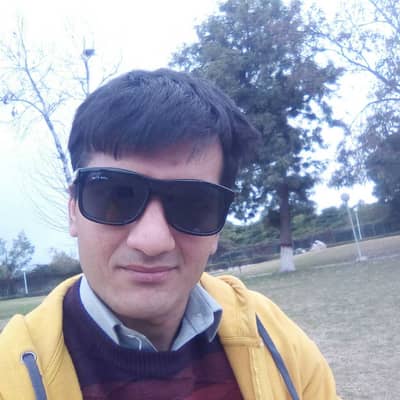 Sikander shah