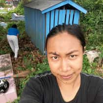 Jelia Sampul