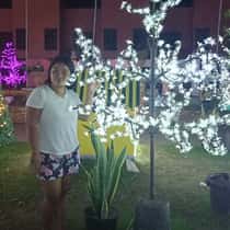 Annfaulve