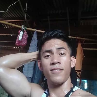 Ariel