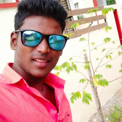 Lingu