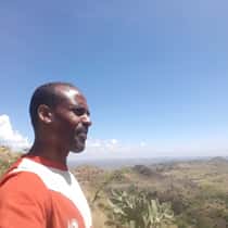 Tadesse