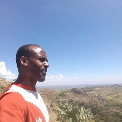 Tadesse