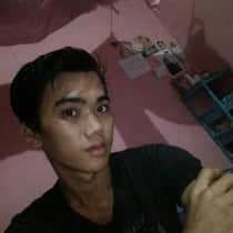 Halis