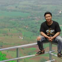 Ajis