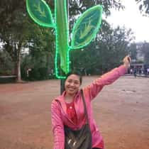 Violy