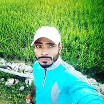 Md Ujjol Ahmed