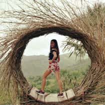 Janine