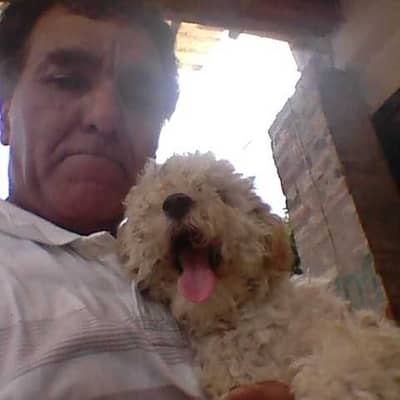 alberto