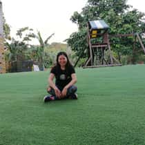 Arlene