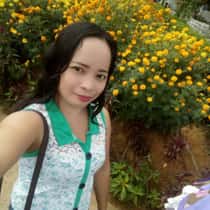 Xryll