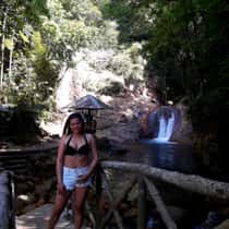 Steffi
