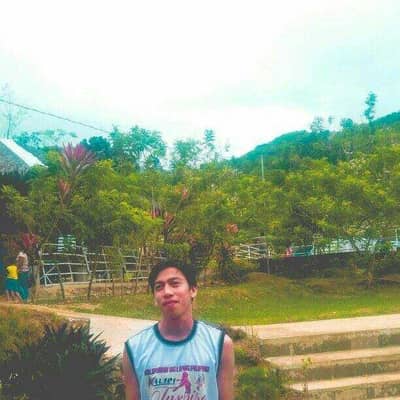 francis niel
