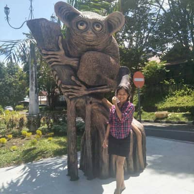 Elv