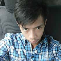 Ardi