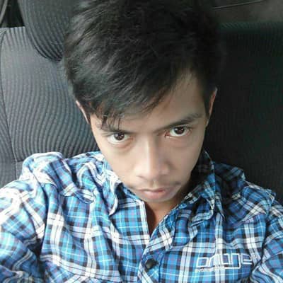 Ardi