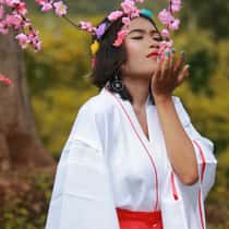 Sari