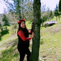 Bebie