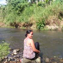 marife